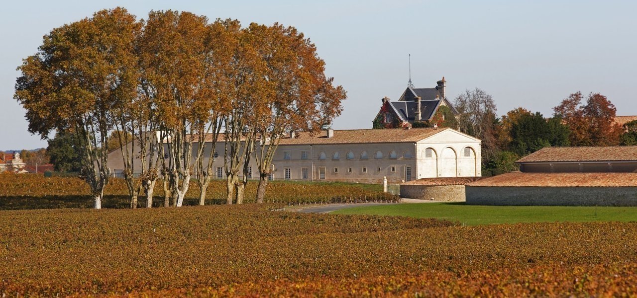 Vineyards and Château Mouton Rothschilds